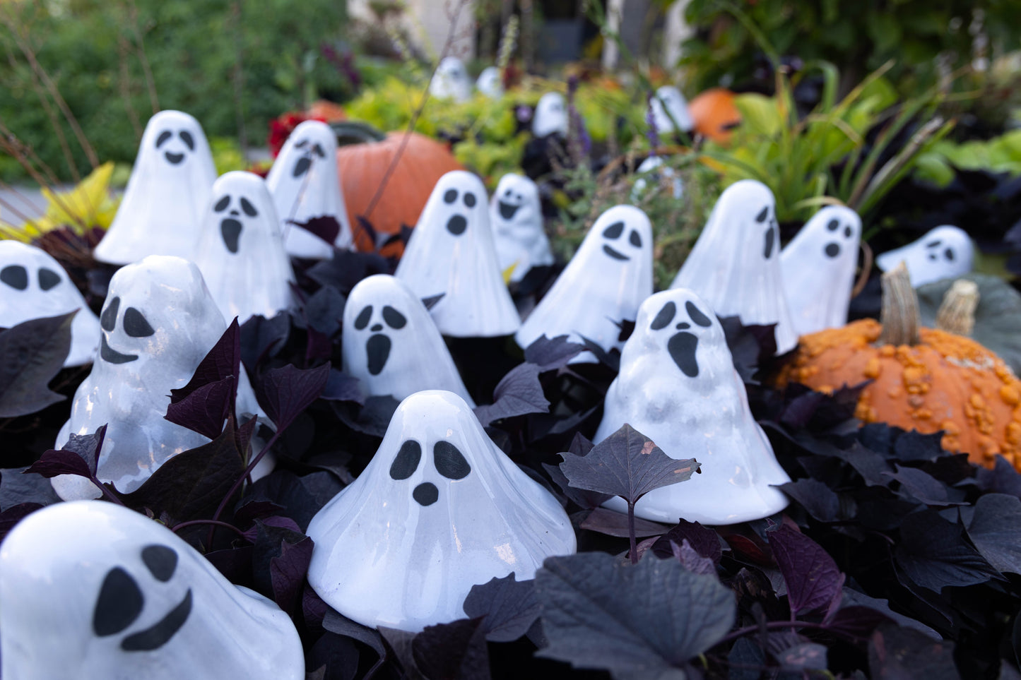Halloween Ghostyz Seasonal Assortment (12-Piece Pack)
