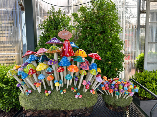 Shroomyz Merchandising Displays (Multiple Sizes)