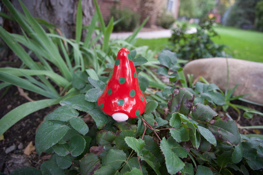 Christmas Gnomyz Core Assortment (30-Piece Pack)