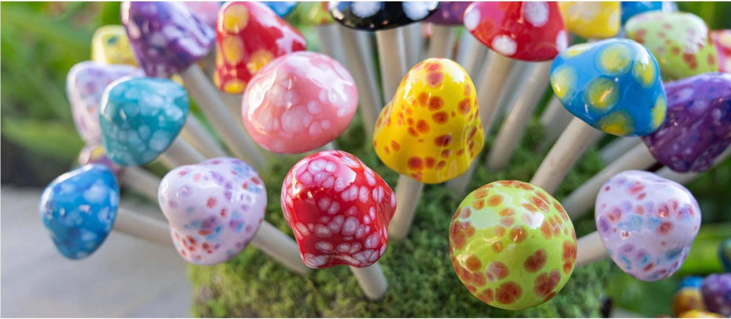 Micro Shroomyz (50-Piece Pack)