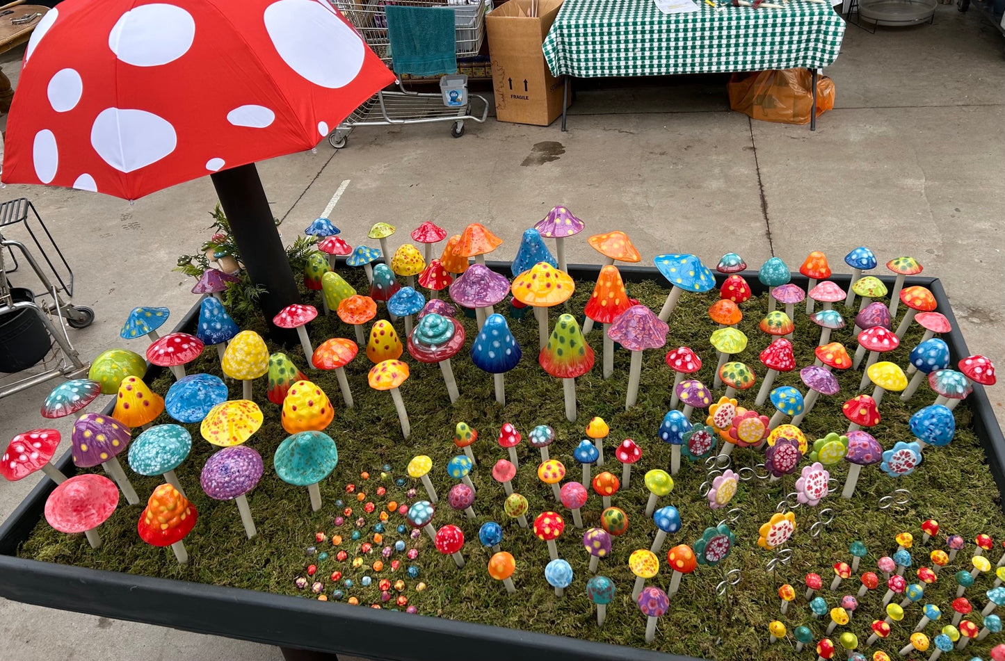 Shroomyz Merchandising Displays (Multiple Sizes)