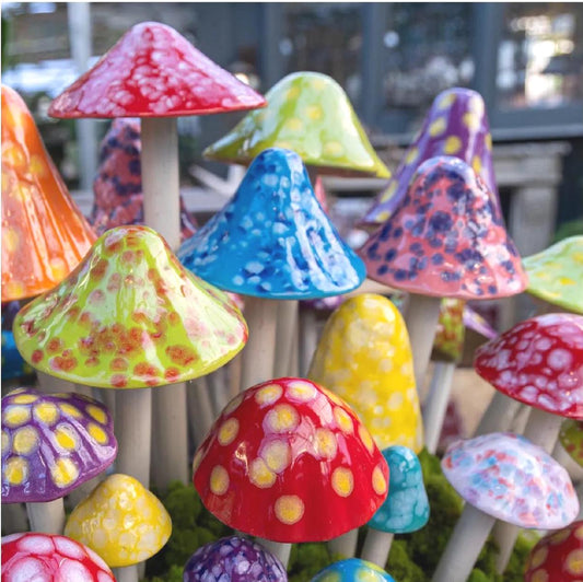 Shroomyz Pre-Assorted Starter Pack – 57-Piece Pack