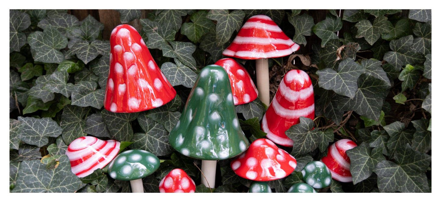 Christmas Shroomyz Assortment (30-Piece Pack)