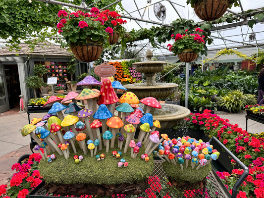 Shroomyz Merchandising Displays (Multiple Sizes)