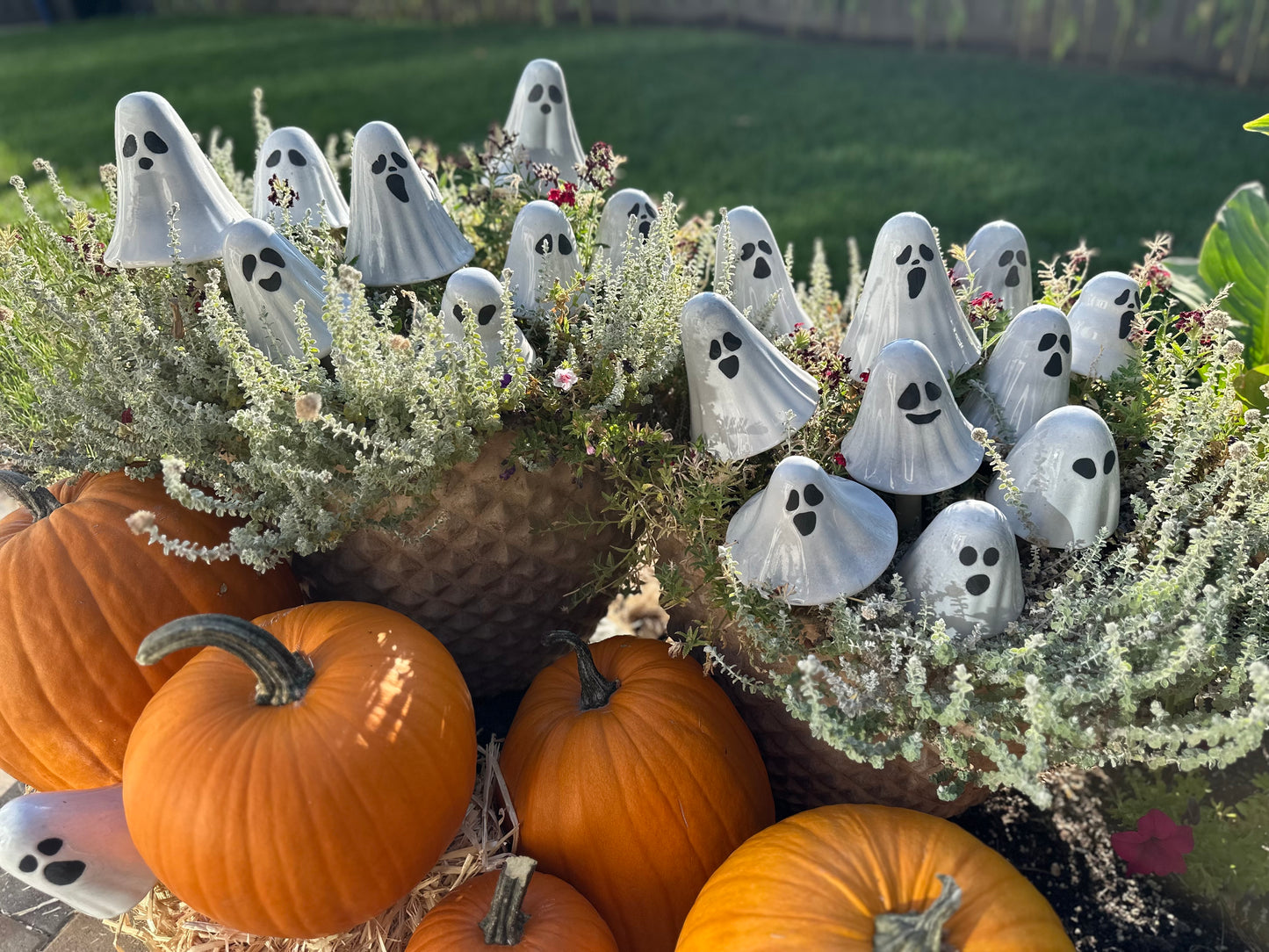 Halloween Ghostyz Seasonal Assortment (12-Piece Pack)