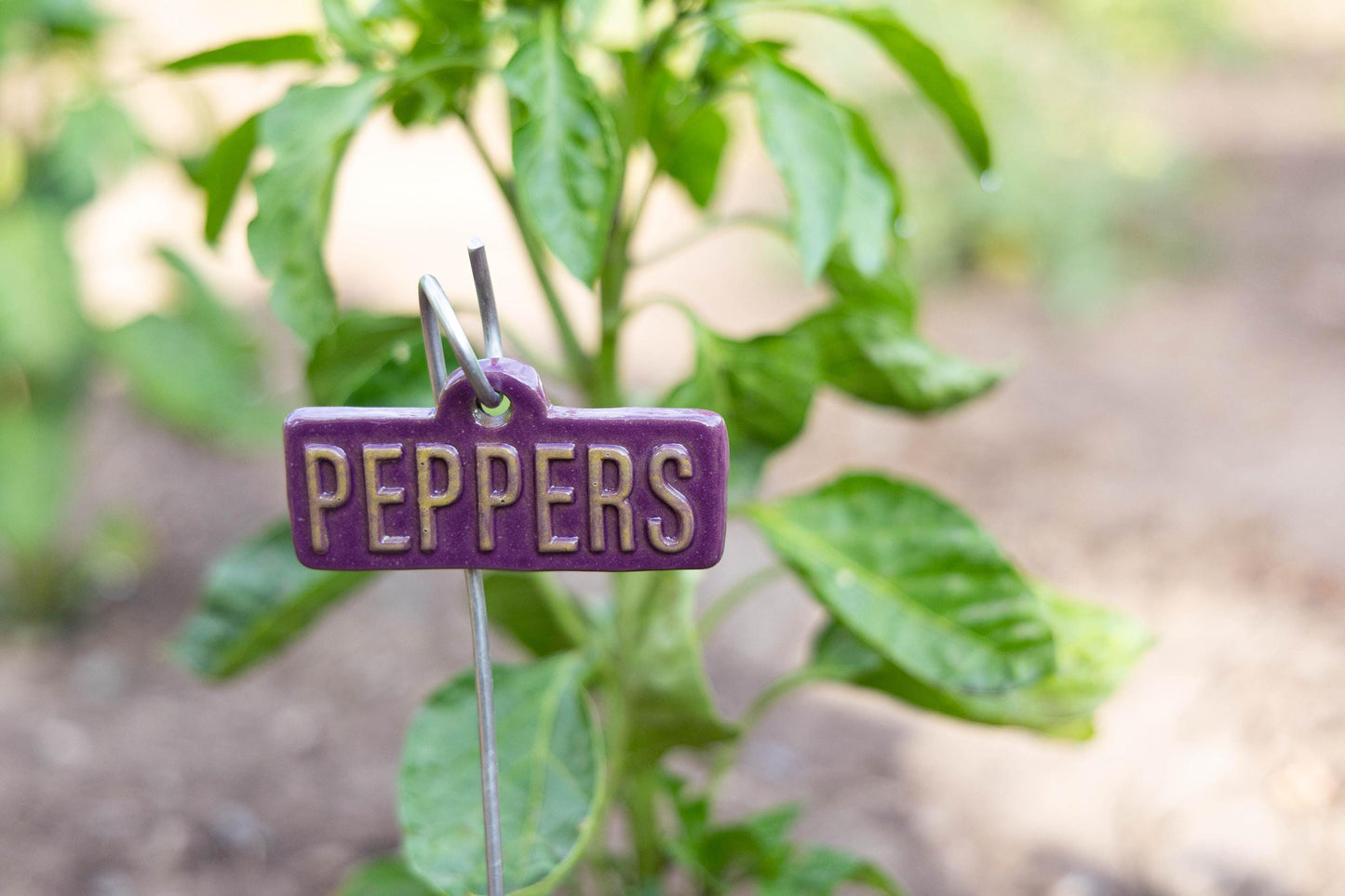 Garden Markers – Vegetables & Fruits (50-Piece Pack)