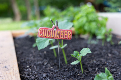 Garden Markers – Vegetables & Fruits (50-Piece Pack)