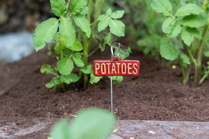 Garden Markers – Vegetables & Fruits (50-Piece Pack)