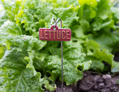 Garden Markers – Vegetables & Fruits (50-Piece Pack)