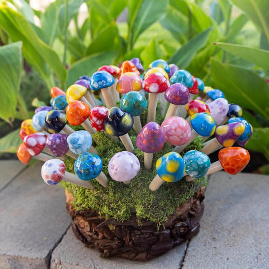 Fairy Shroomyz (50-Piece Pack)