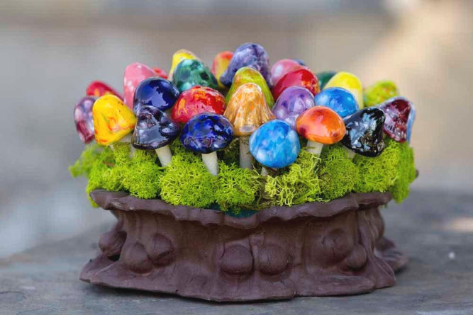 Fairy Shroomyz (50-Piece Pack)