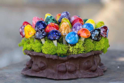 Fairy Shroomyz (50-Piece Pack)