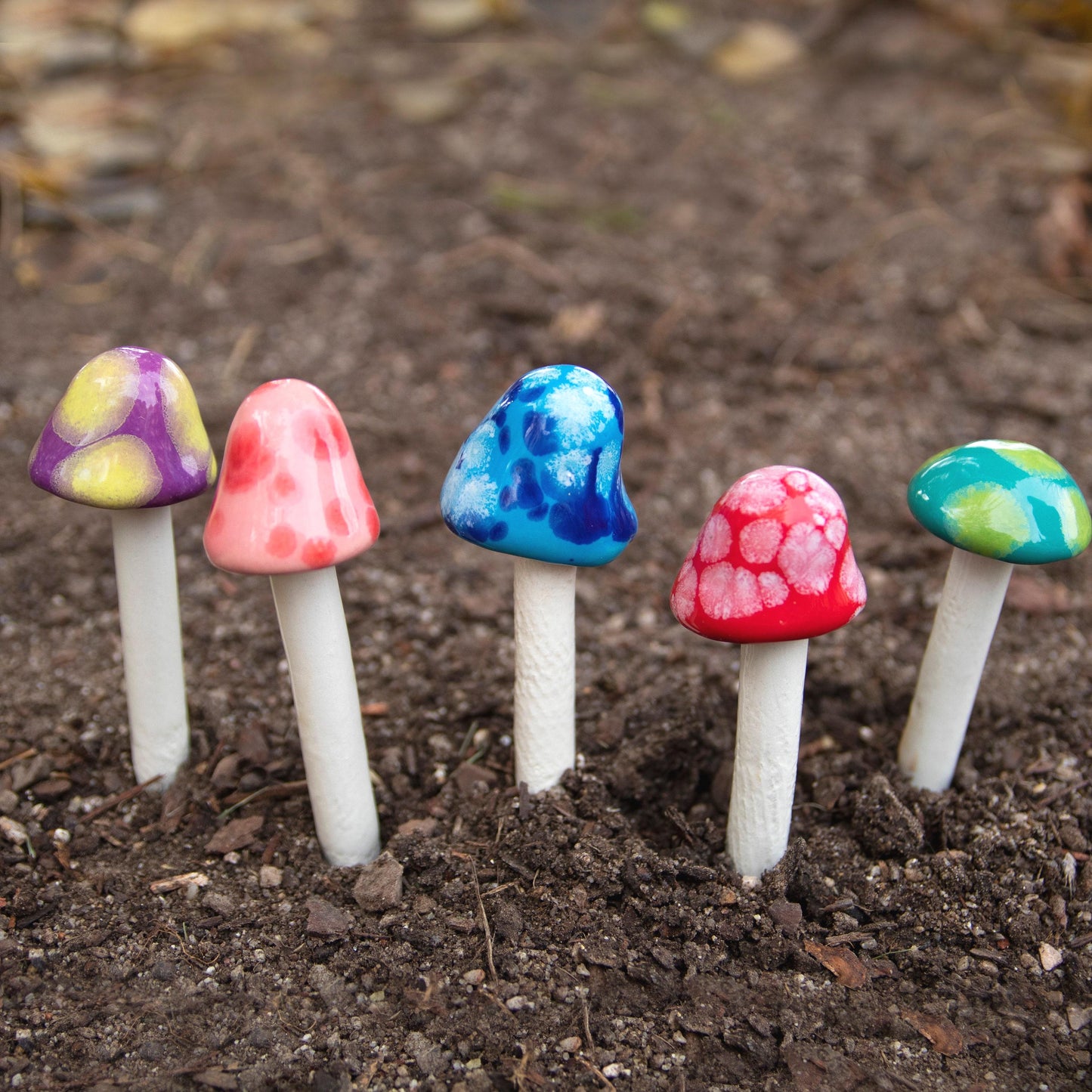 Fairy Shroomyz (50-Piece Pack)