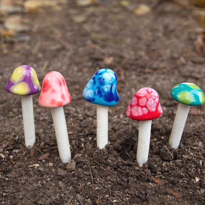 Fairy Shroomyz (50-Piece Pack)