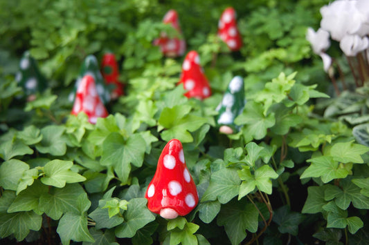 Christmas Gnomyz Seasonal Micro Pack (12-Piece Pack)