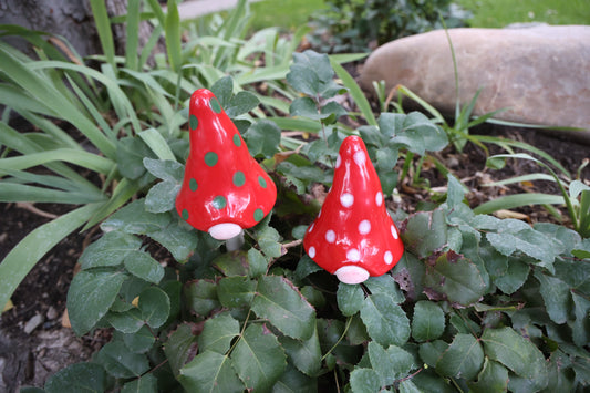 Christmas Gnomyz Core Assortment (30-Piece Pack)