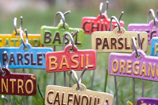 Garden Markers – Herbs (50-Piece Pack)