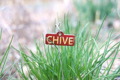 Garden Markers – Herbs (50-Piece Pack)