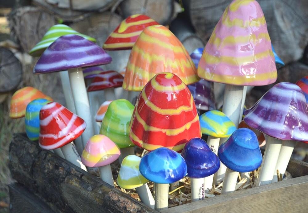 Shroomyz Pre-Assorted Starter Pack – 57-Piece Pack