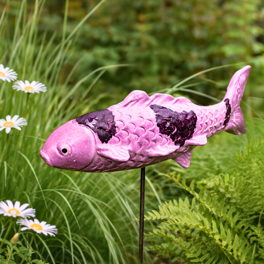 Garden Fish – Koi