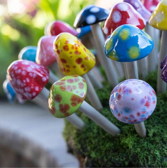 Micro Shroomyz (50-Piece Pack)