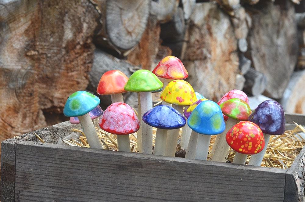 Micro Shroomyz (50-Piece Pack)
