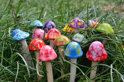 Micro Shroomyz (50-Piece Pack)