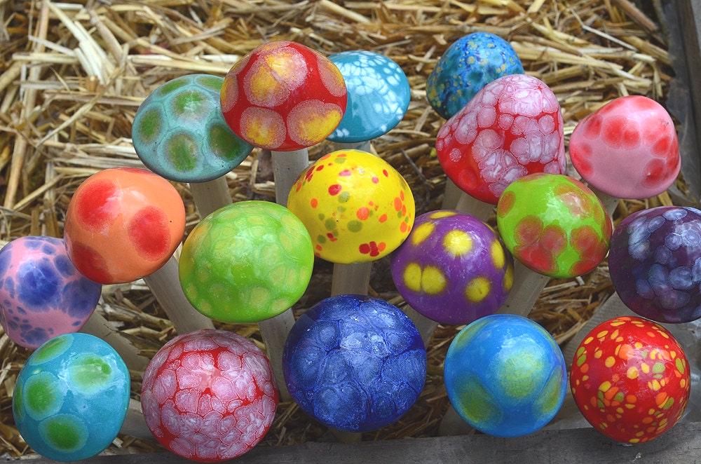 Micro Shroomyz (50-Piece Pack)