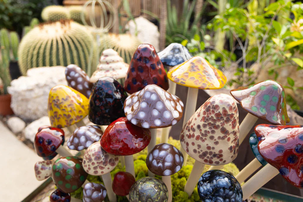 Shroomyz Pre-Assorted Starter Pack – 57-Piece Pack