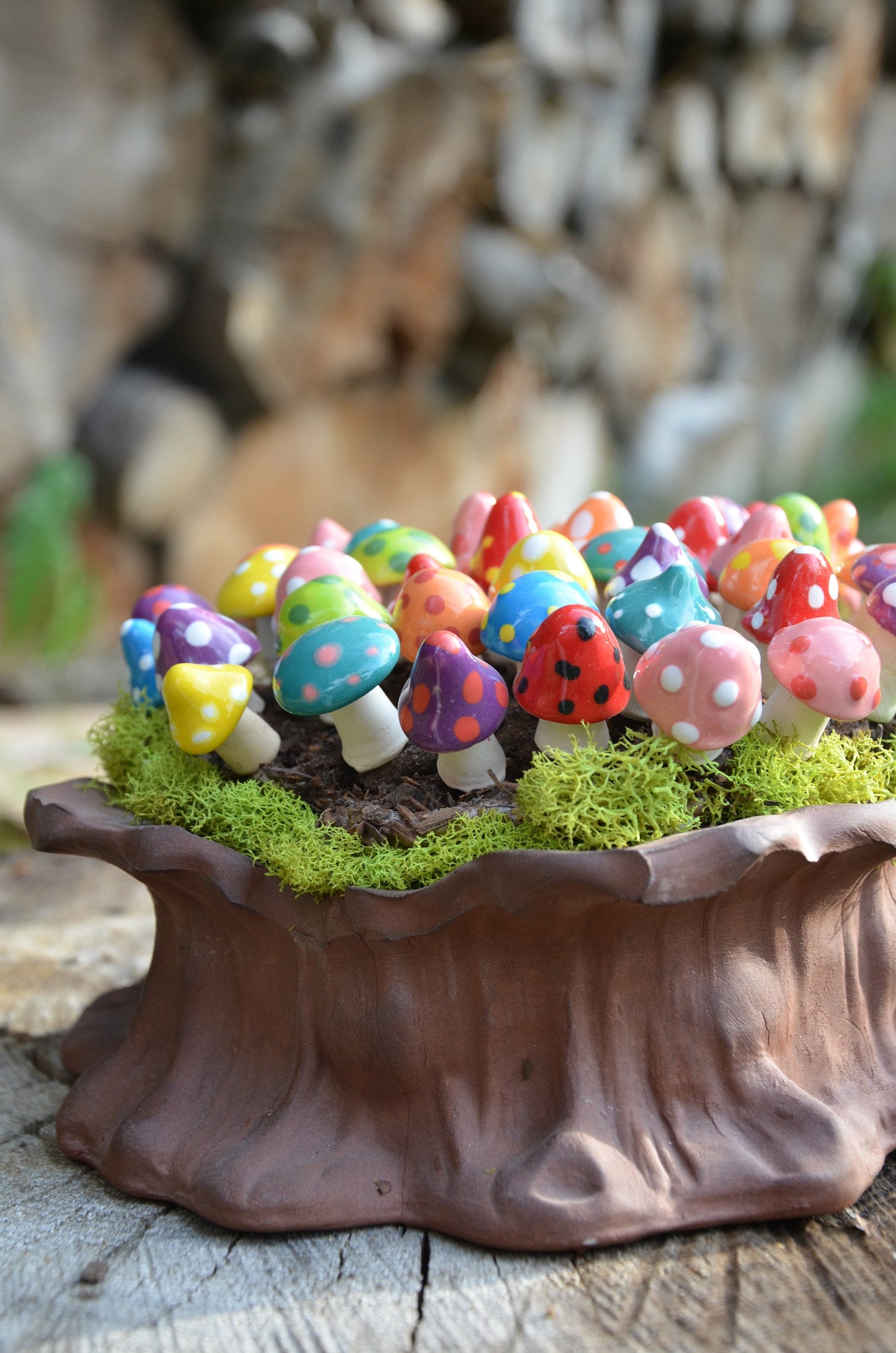 Pico Shroomyz (50-Piece Pack)