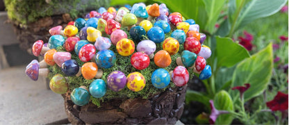 Pico Shroomyz (50-Piece Pack)