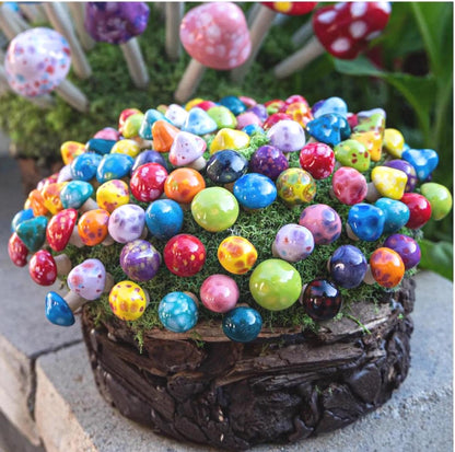 Pico Shroomyz (50-Piece Pack)