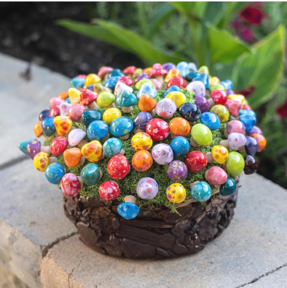 Pico Shroomyz (50-Piece Pack)