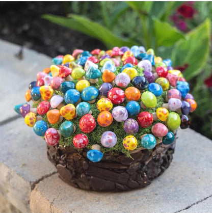 Pico Shroomyz (50-Piece Pack)