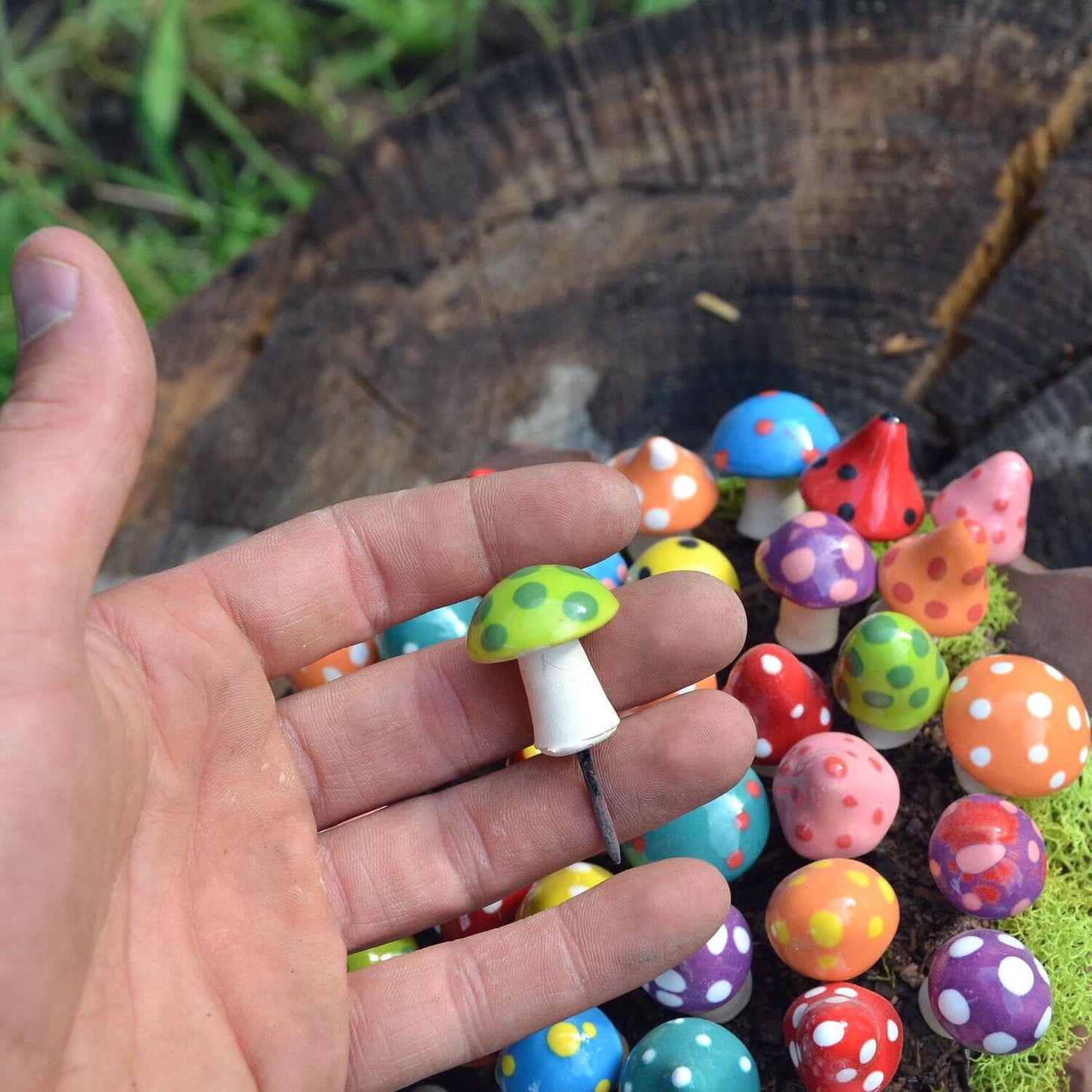 Pico Shroomyz (50-Piece Pack)