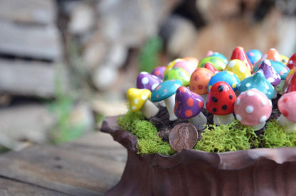 Pico Shroomyz (50-Piece Pack)