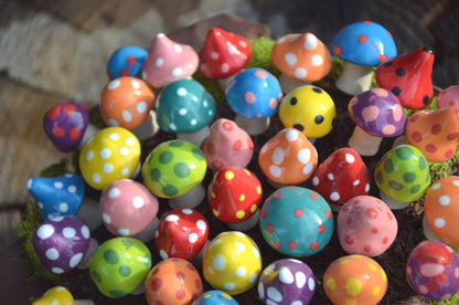 Pico Shroomyz (50-Piece Pack)