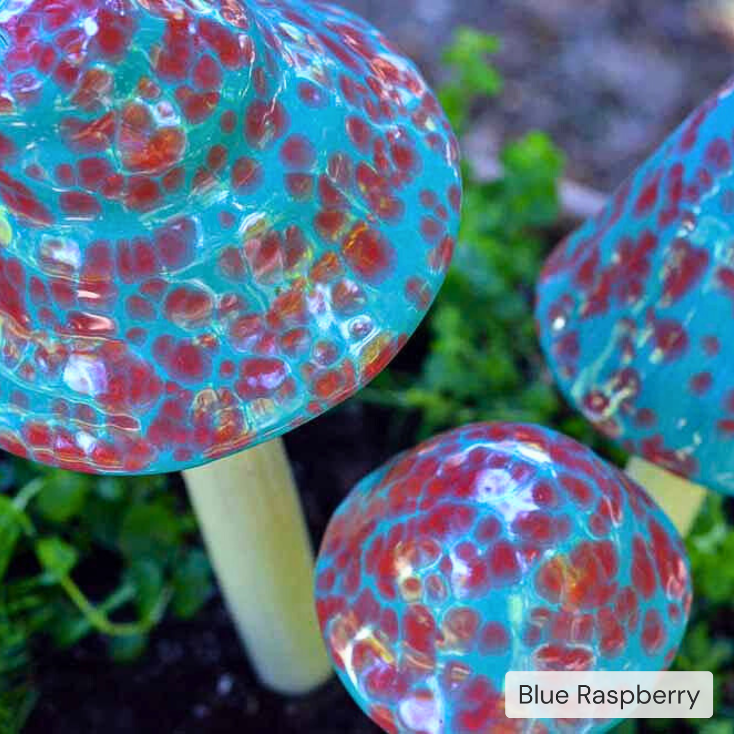 Shroomyz – Pick by Color – 5-Piece Pack