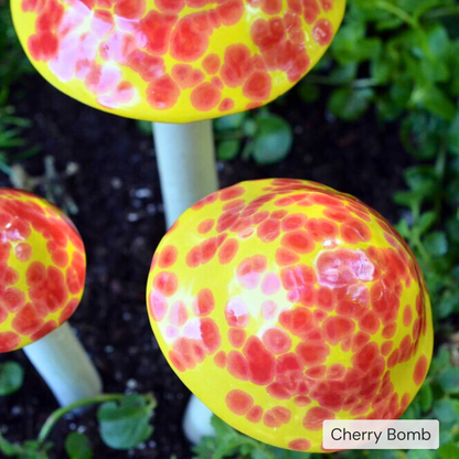 Shroomyz – Pick by Color – 5-Piece Pack