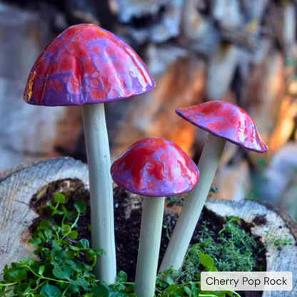 Shroomyz – Pick by Color – 5-Piece Pack