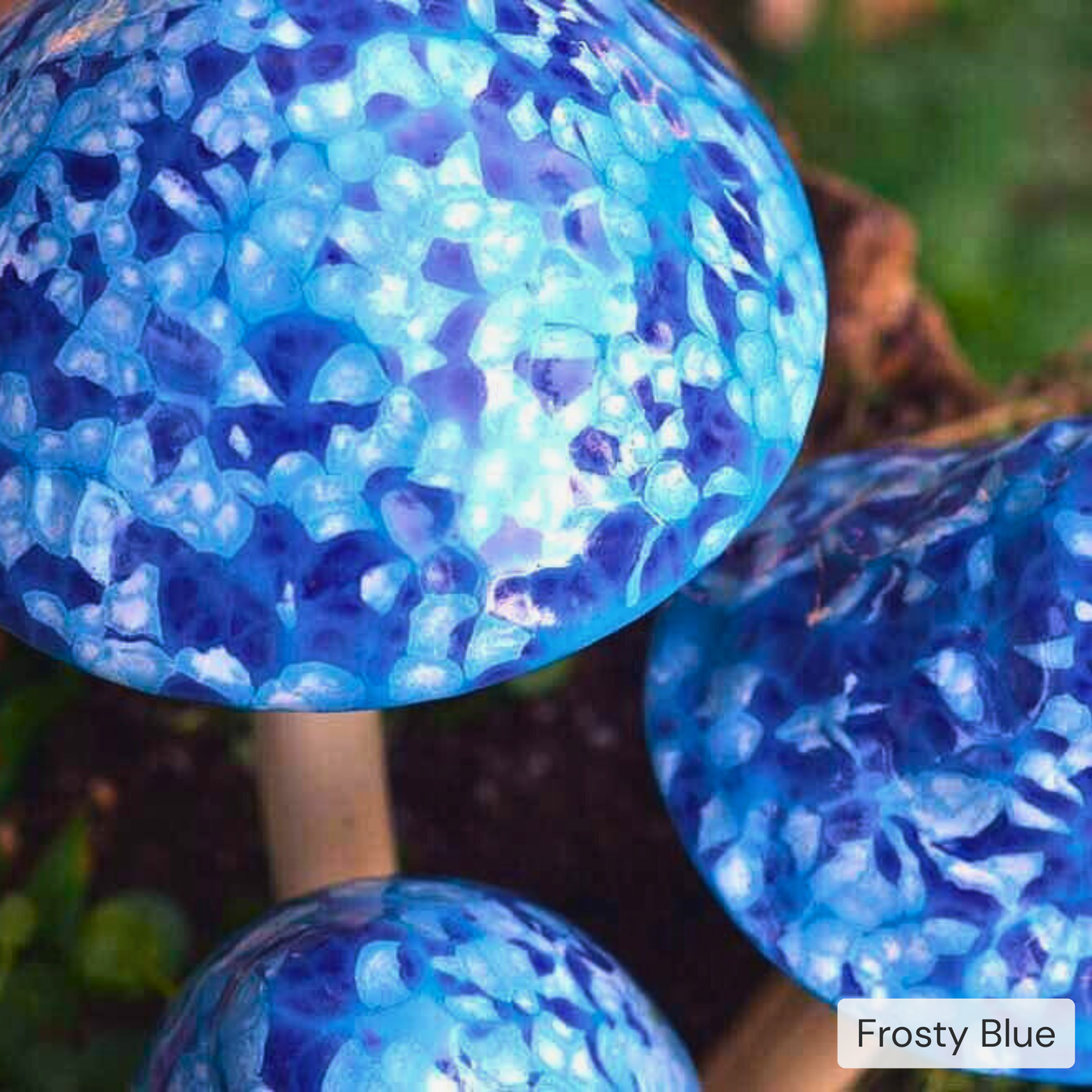 Shroomyz – Pick by Color – 5-Piece Pack