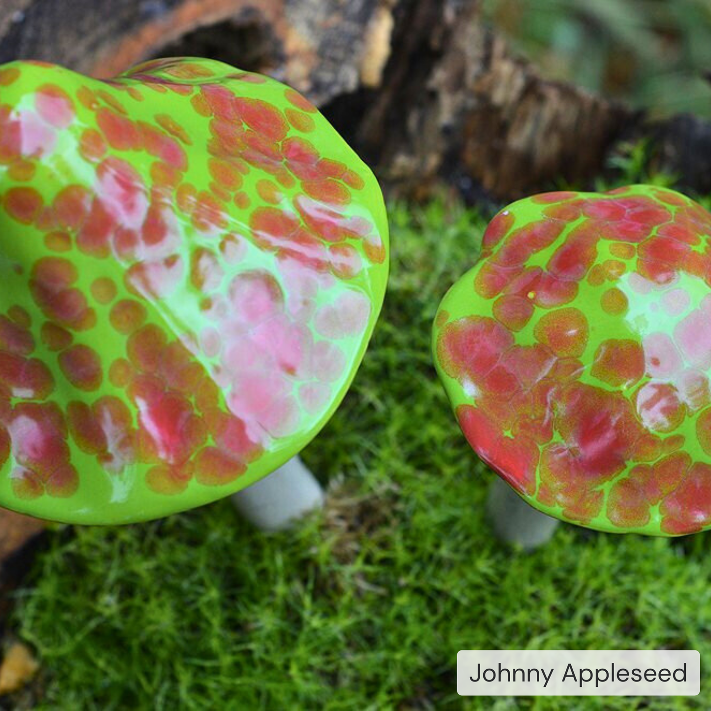 Shroomyz – Pick by Color – 5-Piece Pack