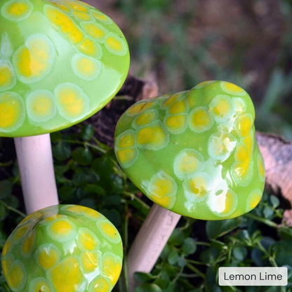 Shroomyz – Pick by Color – 5-Piece Pack