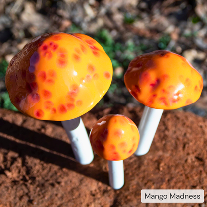 Shroomyz – Pick by Color – 5-Piece Pack