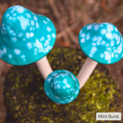 Shroomyz – Pick by Color – 5-Piece Pack