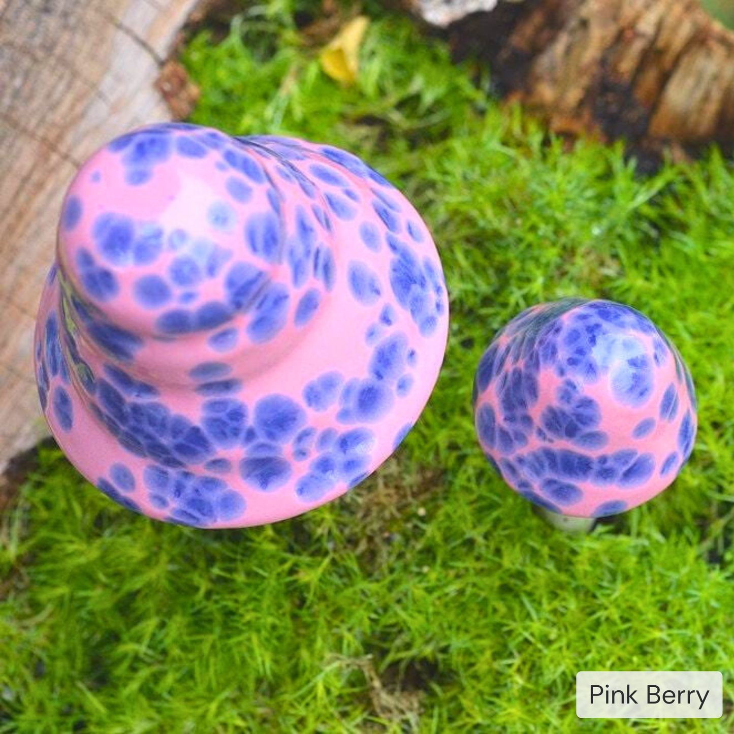 Shroomyz – Pick by Color – 5-Piece Pack