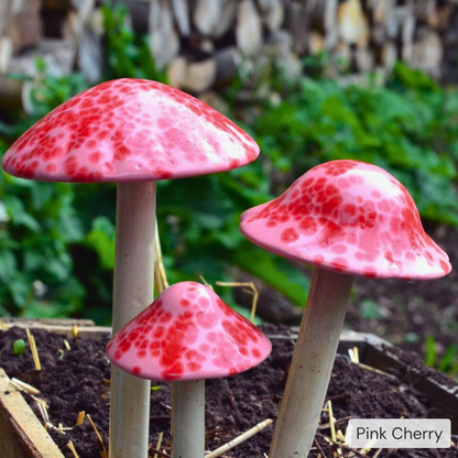 Shroomyz – Pick by Color – 5-Piece Pack