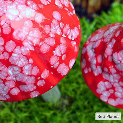 Shroomyz – Pick by Color – 5-Piece Pack