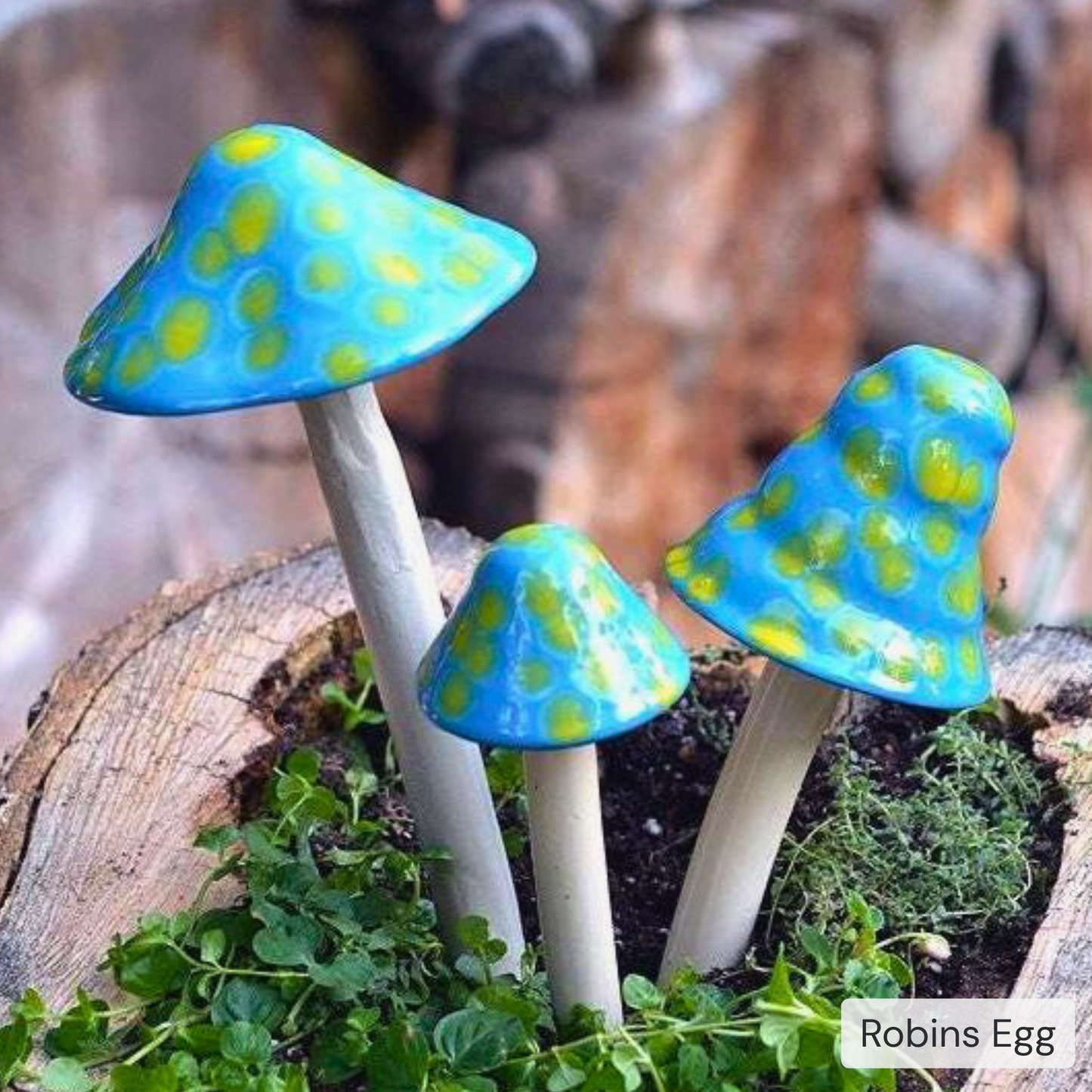 Shroomyz – Pick by Color – 5-Piece Pack