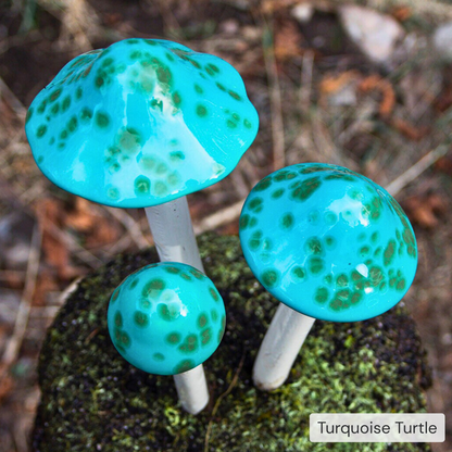 Shroomyz – Pick by Color – 5-Piece Pack